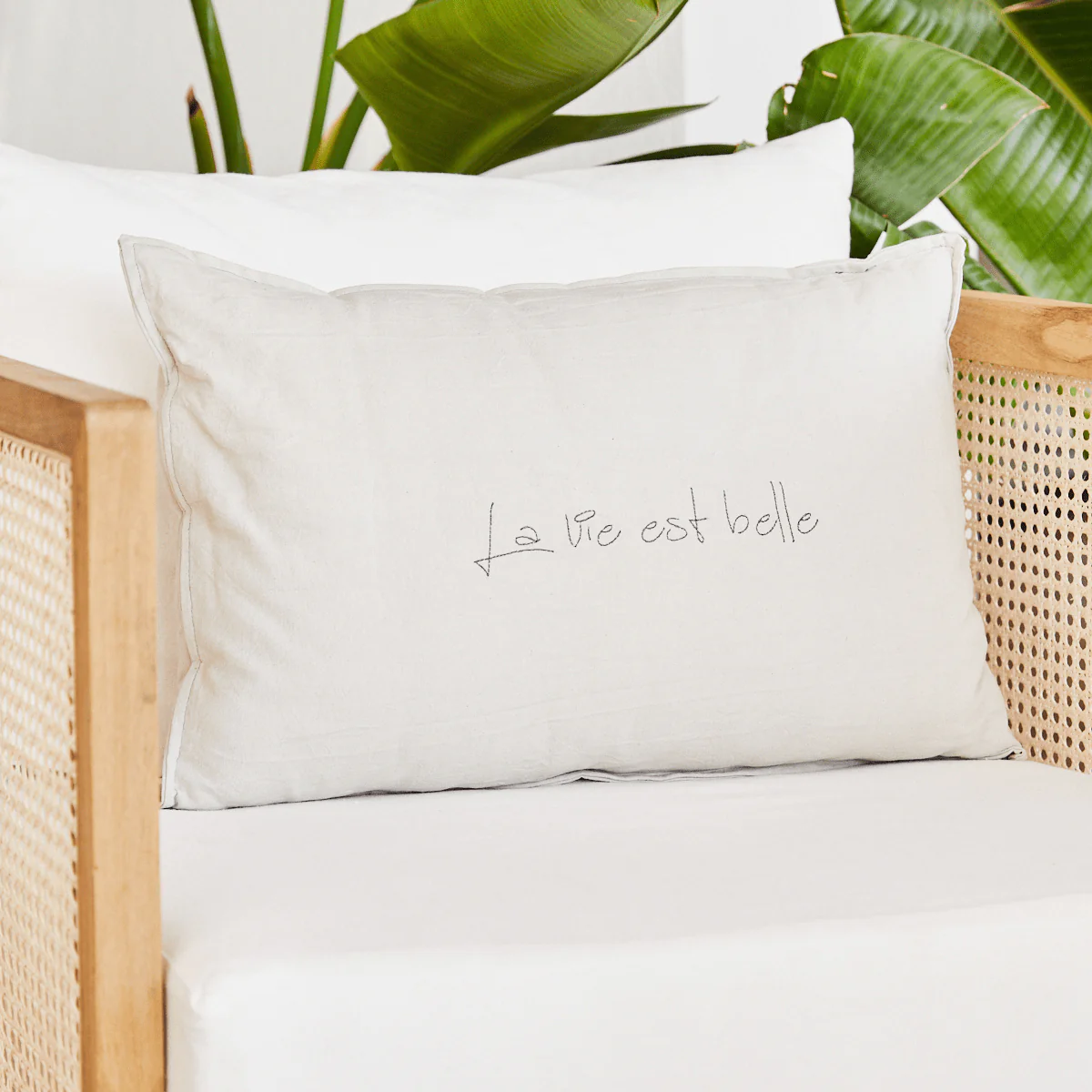 Almohadon La Vie - Image 10
