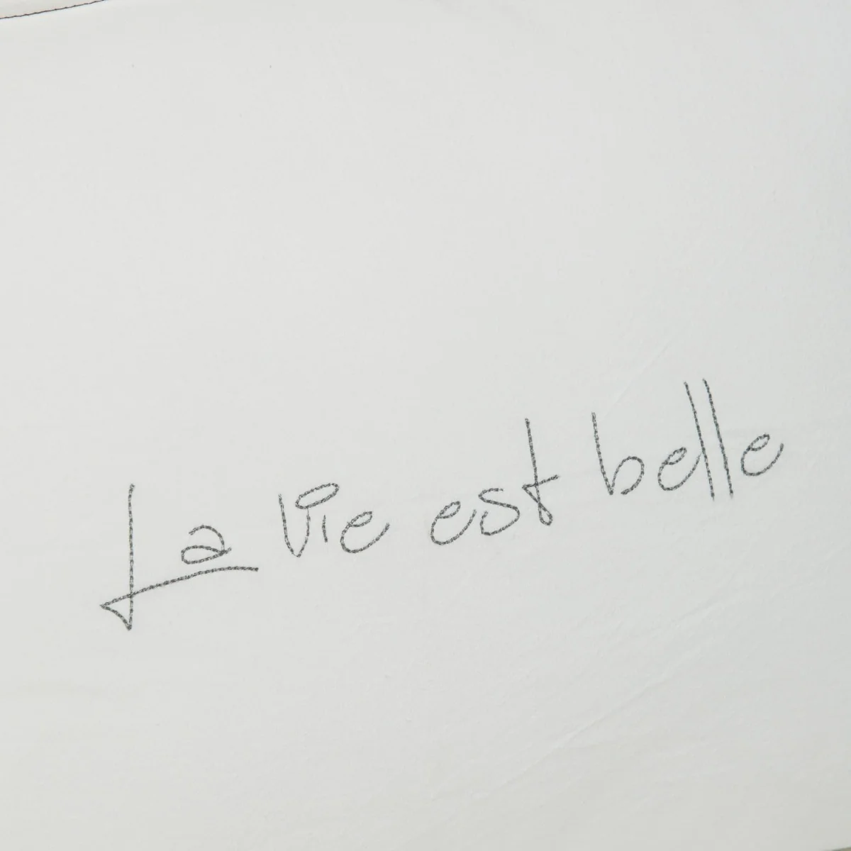 Almohadon La Vie - Image 3