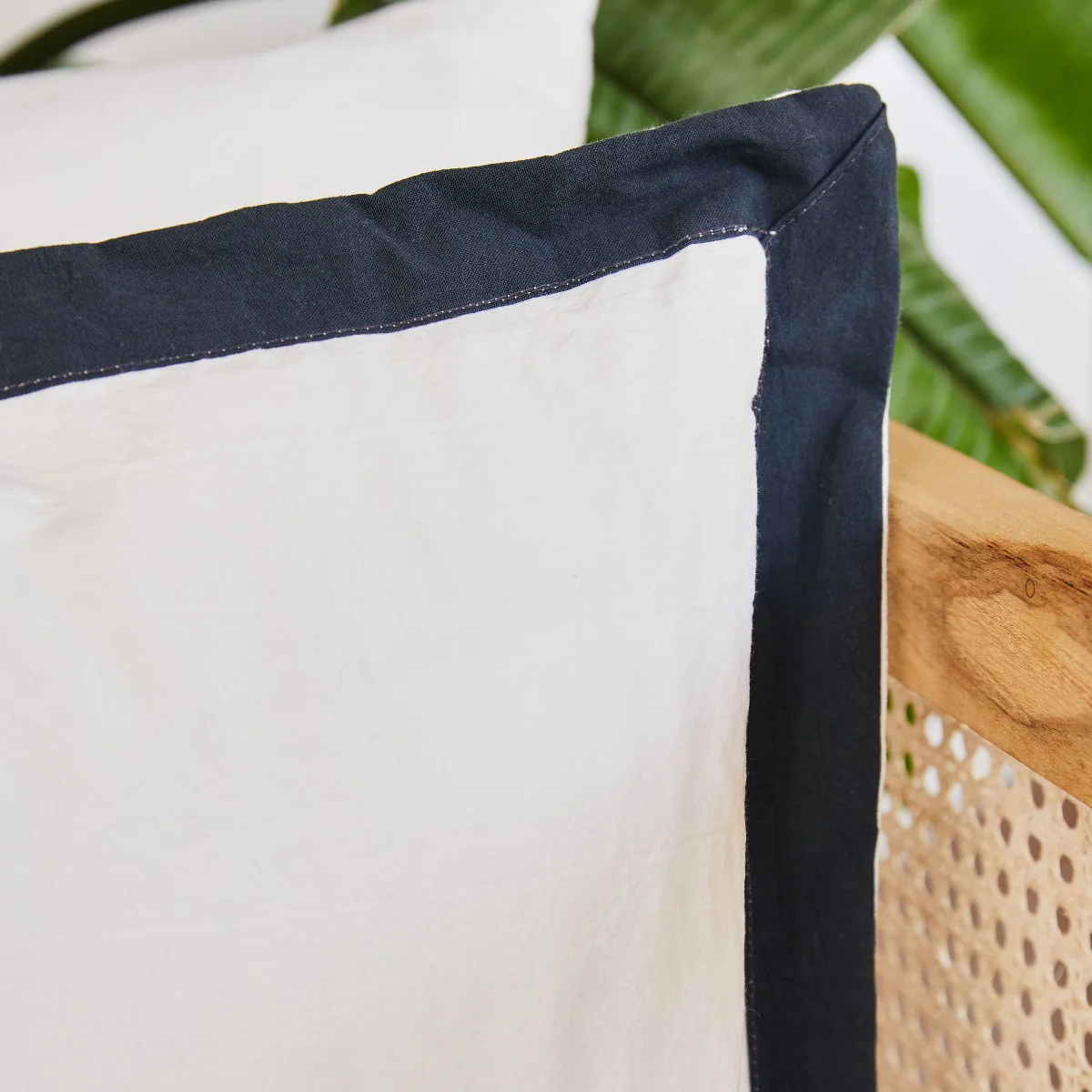 Almohadon Vivo - Image 7