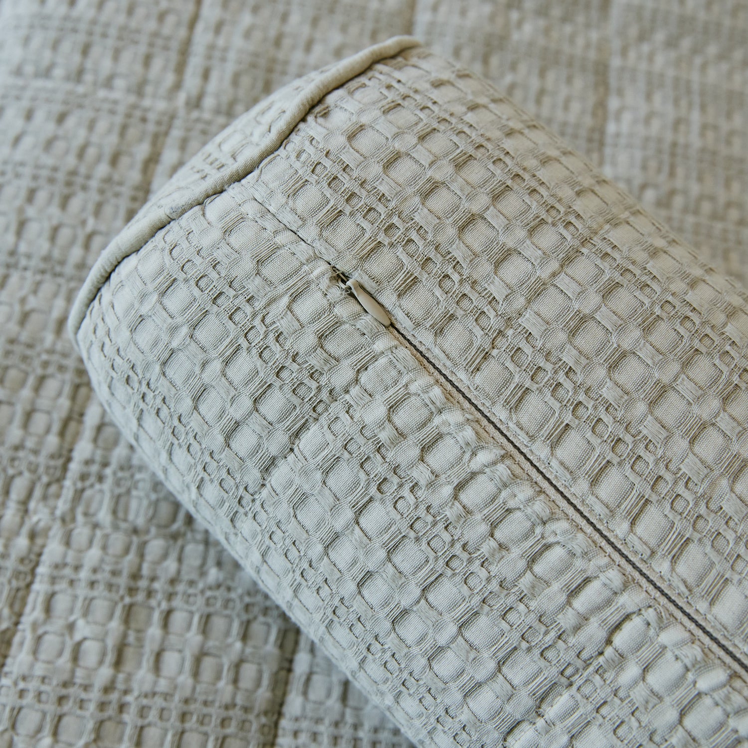 Caramelo Bradford - Image 6